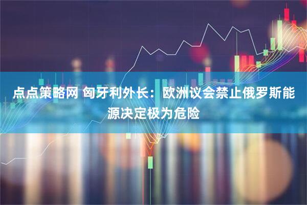 点点策略网 匈牙利外长：欧洲议会禁止俄罗斯能源决定极为危险