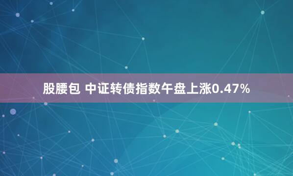 股腰包 中证转债指数午盘上涨0.47%