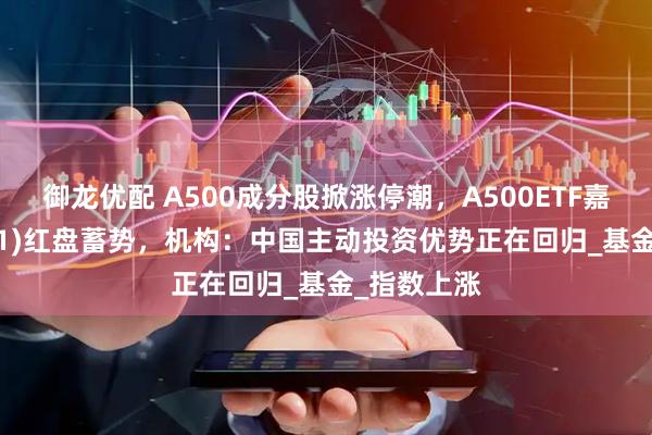 御龙优配 A500成分股掀涨停潮，A500ETF嘉实(159351)红盘蓄势，机构：中国主动投资优势正在回归_基金_指数上涨