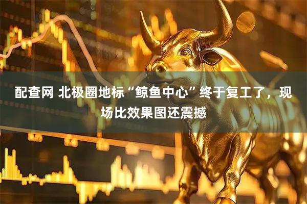 配查网 北极圈地标“鲸鱼中心”终于复工了，现场比效果图还震撼